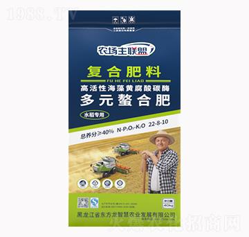 40kgˮöԪϏͺϷ22-8-10-|