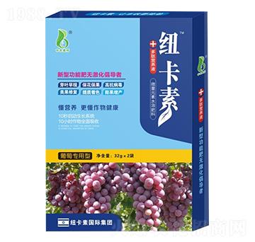 ьͶĠI(yng)B(yng)Һ-~-r(nng)W