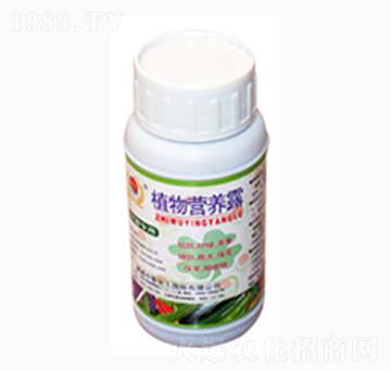 ֲI(yng)B(yng)¶-r(nng)