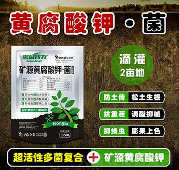 VԴS⛡-ھ(dng)-r(nng)¶