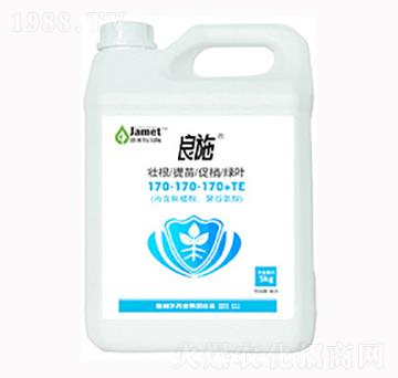 ЙC(j)oC(j)ҺwԪ170-170-170+TE-ʩ-W˹