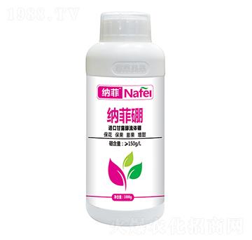 M(jn)ڸ¶w-{-ְʘI(y)