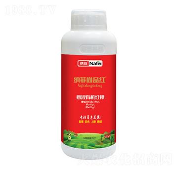 һЙC(j)t-{Ʒt-ְʘI(y)