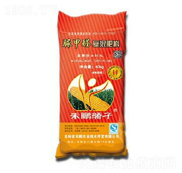 ȩͻ27-11-13-i-ir(nng)I(y)