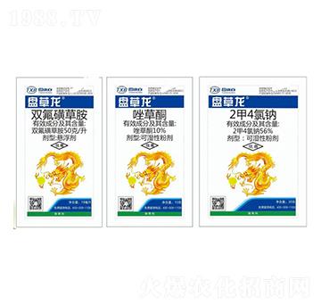 50ÿpǲݰ+10%ͪ+24c-P-С