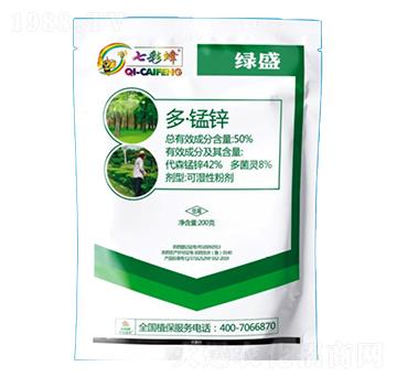 50%ࡤi\-߲ʷ-r(nng)