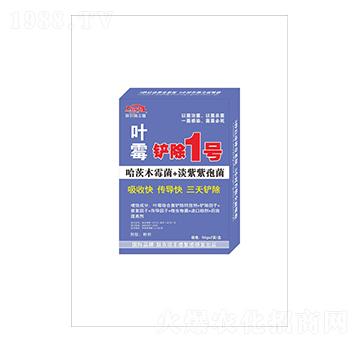 ~ùP1̖-(lin)r(nng)S