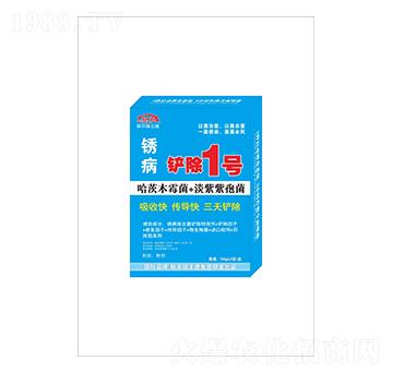 PP1̖-(lin)r(nng)S