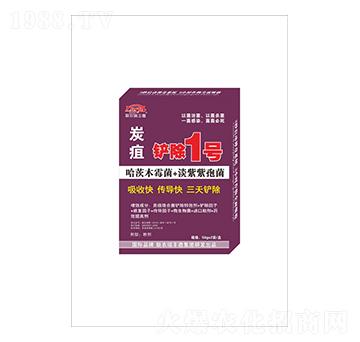 ̿ҲP1̖(ho)-(lin)r(nng)S