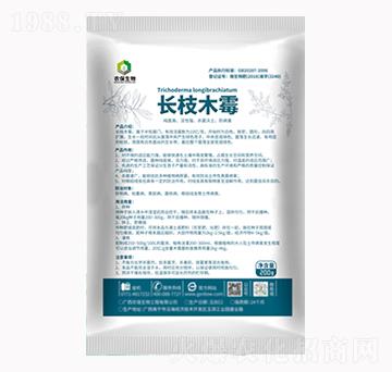 L(zhng)֦ľù-r(nng)