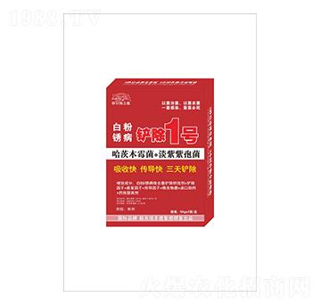 ׷PP1̖(ho)-(lin)r(nng)S