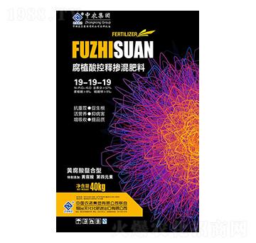 ֲጓ19-19-19-r(nng)r(nng)I(y)