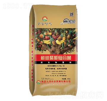 ̼܏(f)Ͼ-ŝ(rn)r(nng)I(y)