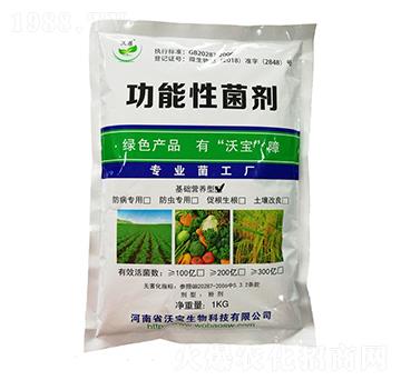 A(ch)I(yng)B(yng)͹Ծ-֌