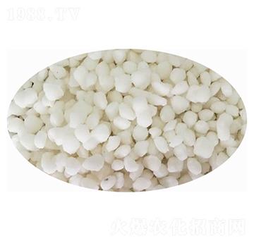 Ȼ@ɫ{(ln)ɫ-SƼ