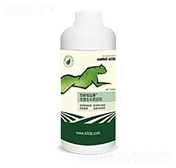 ֳL(zhng)M(jn)-ֲ濵-}