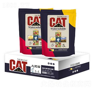 ̼Ԫˮܷ20-20-20+TE-؈-ƻr(nng)