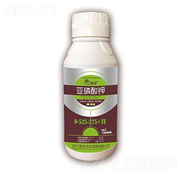 0-525-275+TE-ֲ^-r(nng)I(y)