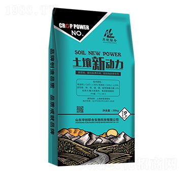 (dng)-A(chung)(lin)