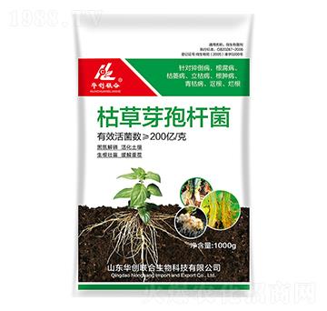 ݲѿߗU-A(chung)(lin)