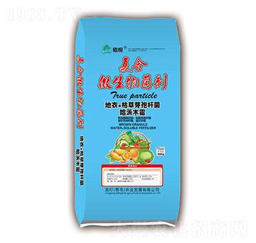 (f)΢-ֲ^(gun)-r(nng)I(y)