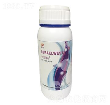 ׽AҺ-f˹-(l)r(nng)I(y)