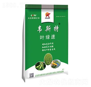 ~G-f˹-(l)r(nng)I(y)