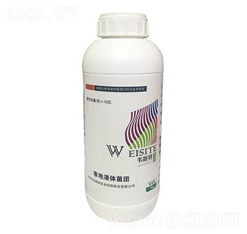 ҺwF(tun)-f˹-(l)r(nng)I(y)