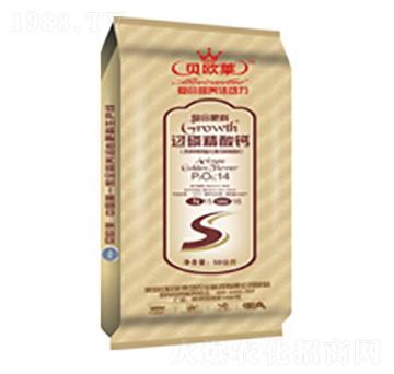 ^׾}(f)Ϸ14-15-16-ؐWR