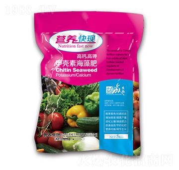 IB(yng)F(xin)ךغ-r(nng)F(tun)