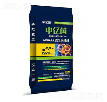 ΢-Ѓ|-Ѓ|r(nng)I(y)