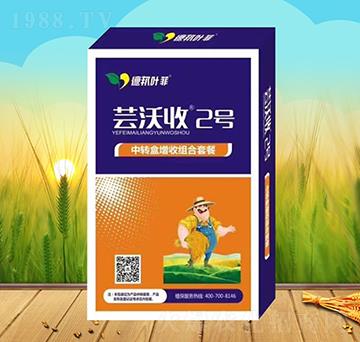 IB(yng)a(chn)ײ-|2̖-°~