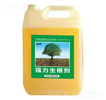 Ǥ塤(qing)-ֱķ-Tַ