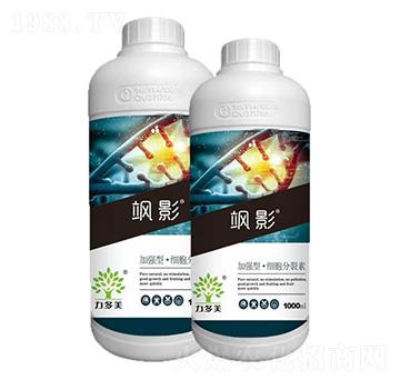 ӏ͡(x)-SӰ-r(nng)ʥ