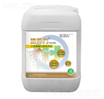 ޏ͸-B(yng)-h(hun)B(ti)