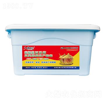 IB(yng)M-r(nng)˼-ƺ