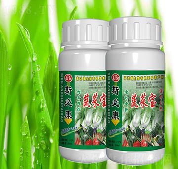 �߲ˌ�-˹�ؿ�