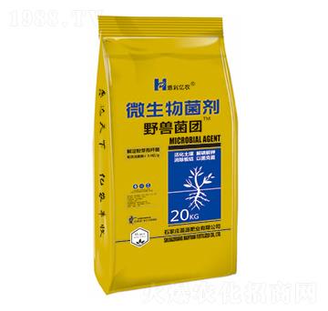 ҰFF(tun)΢-݃|r(nng)