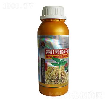 S~砀-(lin)ջW(xu)