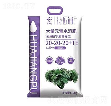 AؠIB(yng)ʹԪˮܷ20-20-20+TE--V