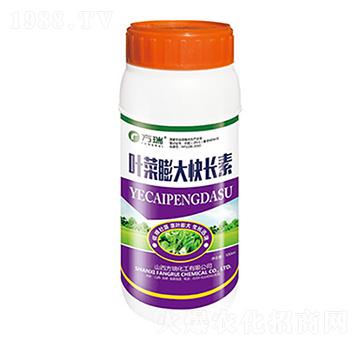 500ml~L(zhng)-