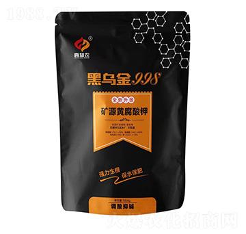 VԴS-ڞ998-ֶr(nng)I(y)