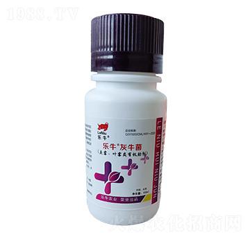 ù~ùЙC(j)-ţ-\I(lng)