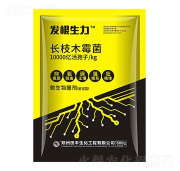 L(zhng)֦ľù-l(f)-۟o(w)