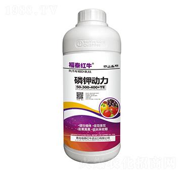 ⛄(dng)50-300-400+TE-̩tţ