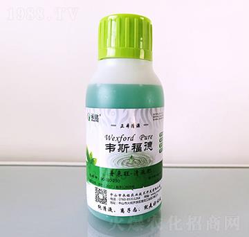 Ձ(li)Һ-f˹-r(nng)I(y)