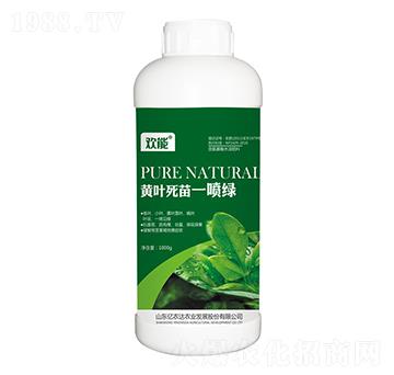 S~һG-g-|r(nng)_(d)r(nng)I(y)