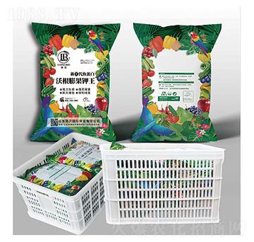 ¢ٴ~(y)ָ䣩-ؐ-ﲩʿ