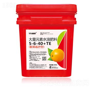 ɫʹԪˮܷ5-6-40+TE-|ֲ-ʥʘI(y)