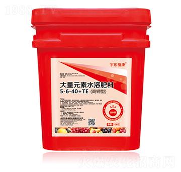 ʹԪˮܷ5-6-40+TE-|ֲ-ʥʘI(y)